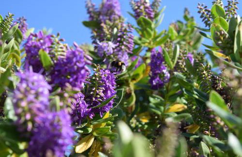 Westcroft 6 Withnoe Terrace - Photo 19