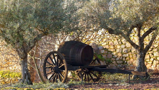 Conoceremos los pueblos histórico de Portugal