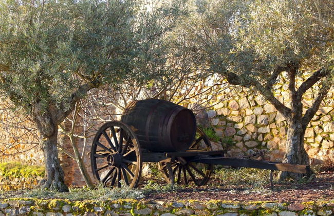 Escursione a Almeida, Castelo Mendo e Castelo Rodrigo - Foto 3
