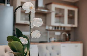 Cottage an der Elbe Tespe Hamburg - Foto 11