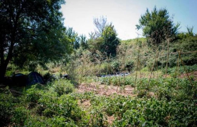 Holiday Home Le Fournil in Manhay With Garden - Photo 31