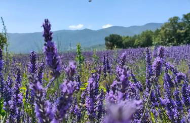 Charming house in Provence, 2 to 10 people - Foto 34