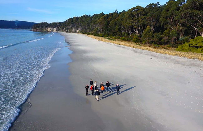 Escursione all'isola Bruny - Foto 7
