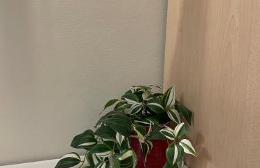 Tucano studio apartment - Foto 25