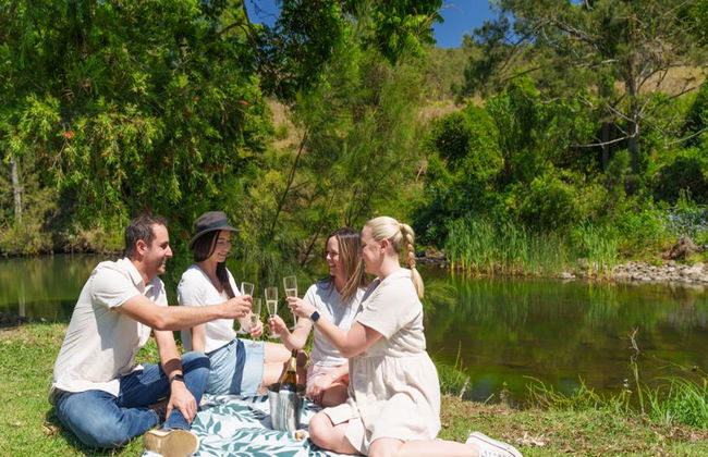 Lamington National Park, O’Reilly’s Rainforest und Canungra Valley Vineyard – Tagestour - Foto 9