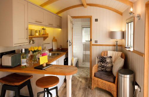 Piano Forte - a delightful rural shepherd hut & hot tub available ! - Foto 8