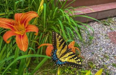 Brookside Cabin with HotTub and FirePit - Foto 11