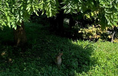 Magie Milano Tortona District-Navigli - Foto 66