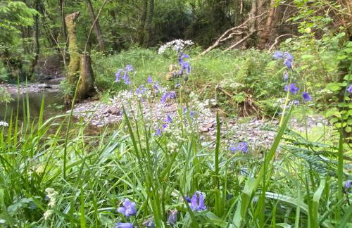 Bronfelin & Troed-y-rhiw Holiday Cottages - Foto 74
