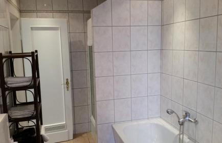 Monteurwohnungen Santos Lerch - Foto 18