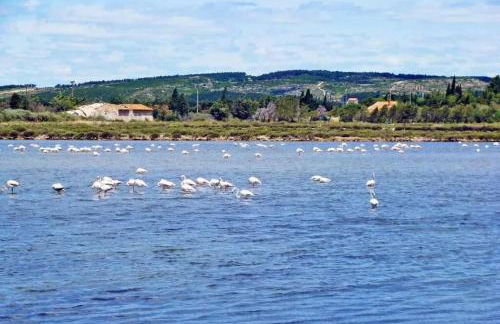 Appartement cœur de village Numéro1 - Foto 13