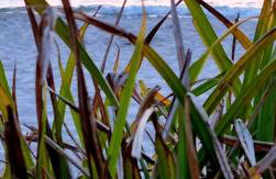 Apartament Powstańców A23 z dostępem do basenu BALTIC APARTAMENT - Foto 32