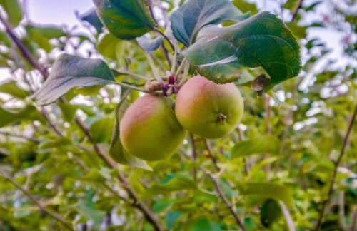 3BRB with Bonus Bedroom, Hot Tub, Tropical Oasis - Foto 44