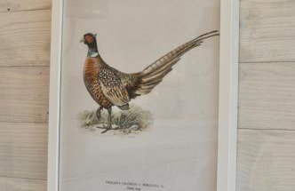 Luxury Boutique retreat, hot tub, dog friendly - Foto 32