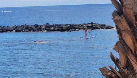 Canela Tenerife Apartment - Foto 2