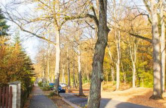 StadtNatur Apartment am Küchwald - 2 SZ mit Balkon, WASCHMASCHINE, Streaming-TV, Badewanne, Arbeitsplatz - Foto 21
