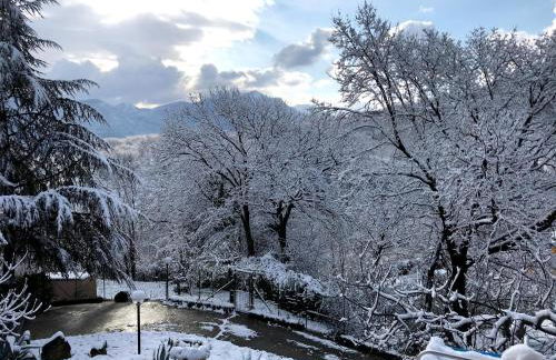 Villa Gioia relax immersi nel verde - Foto 34
