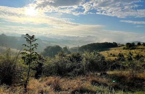 Las Vignes - Où le calm apaise l'âme - Foto 34