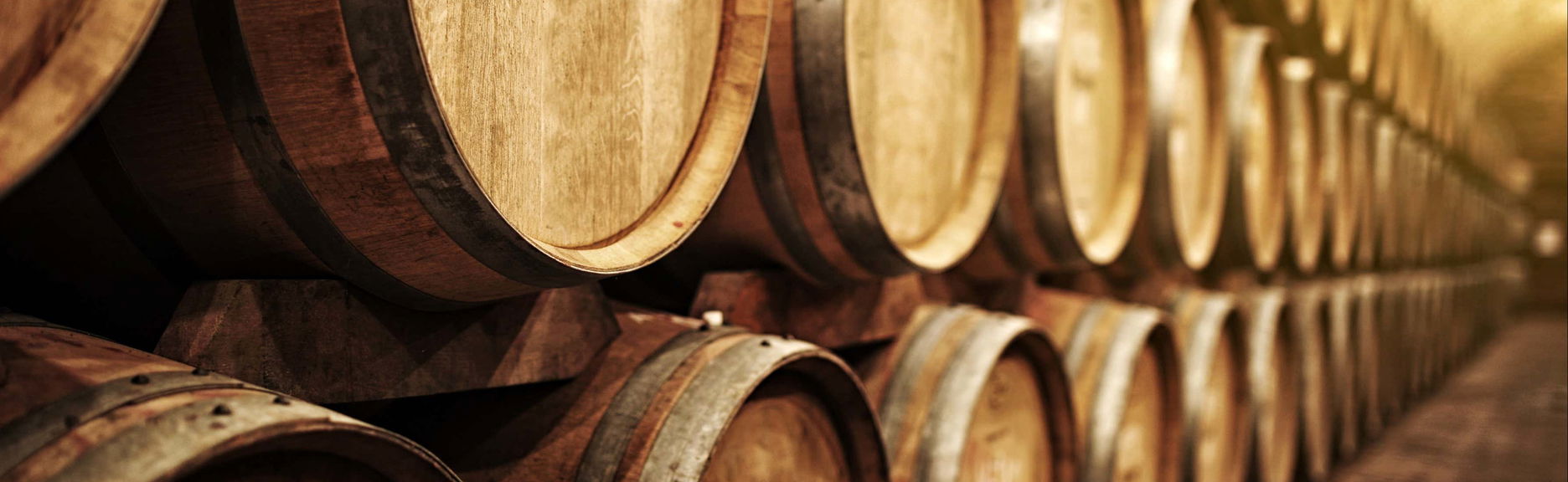 Visita às Bodegas Yllera, El Hilo de Ariadna