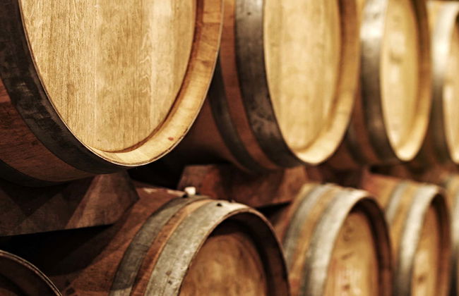 Visite des caves à vin de l'Yllera, Le fil d'Ariane - Photo 1