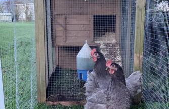 Greenbrae's Apartment- Bushmills - Foto 15