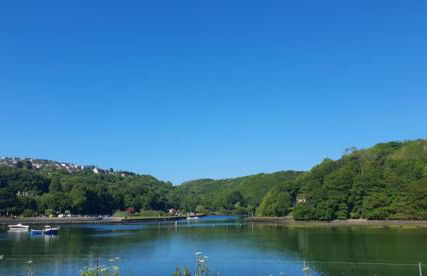 Driftwood in Looe River view and parking - Foto 8