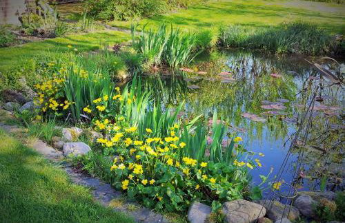 Grooten Wiebkings - Foto 16