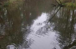 Apartament Nad Liwką - Foto 18