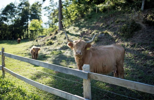 Bee House Kasandra - Foto 12