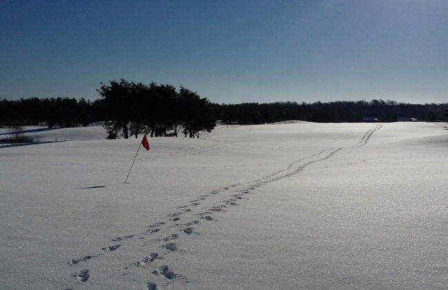 6 Person Holiday Home in Degeberga-by Traum - Foto 8