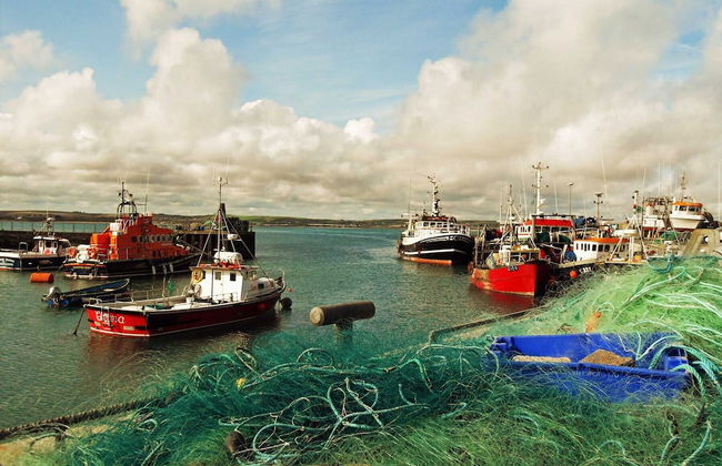 Daisys Cottage Barnabrow - Foto 21