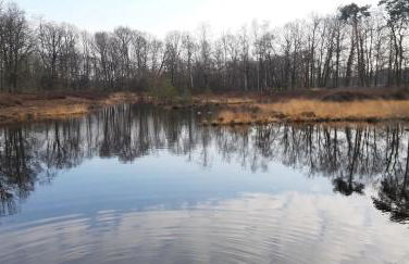 Ferienwohnung Becker - Foto 20