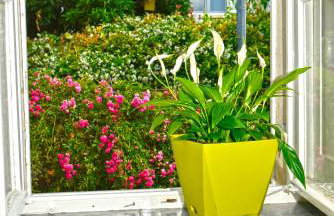 Apartment Ljubica Dubrovnik Center - Foto 14