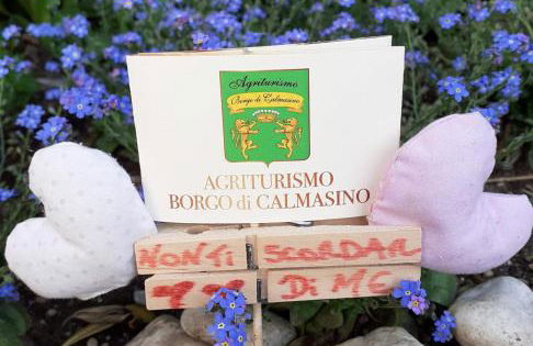 Agriturismo Borgo di Calmasino - Foto 77