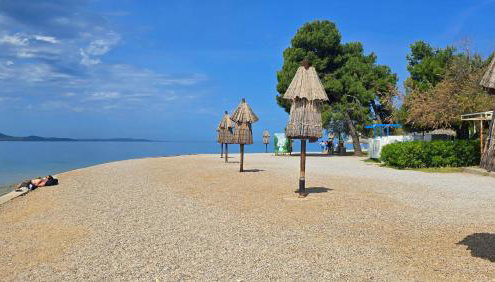 Suzy's botanica - Foto 5