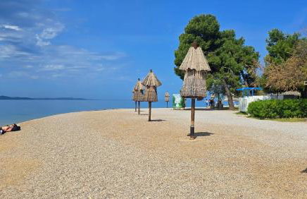 Suzy's botanica - Foto 5