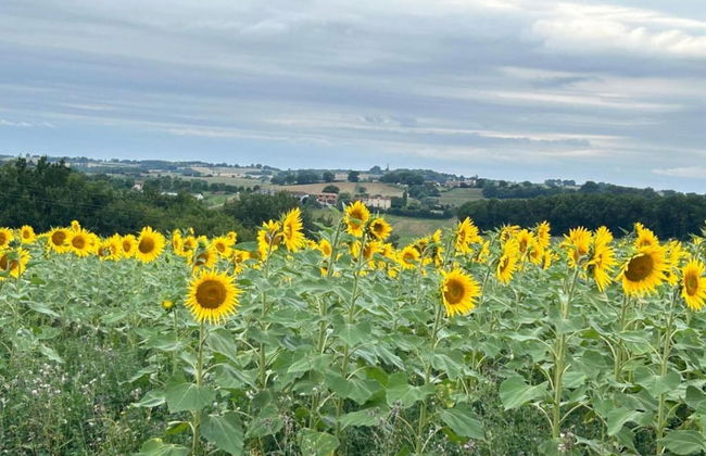 Holiday Home in Peyrusse Grande - Foto 25