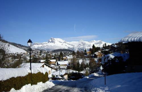 La Résidence de L'Ours - Foto 69