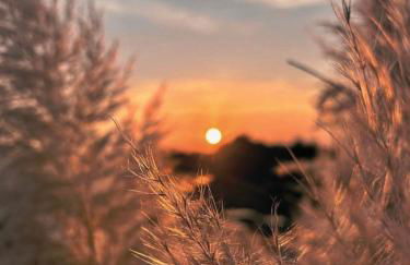 MORF - soulful suites - Foto 31