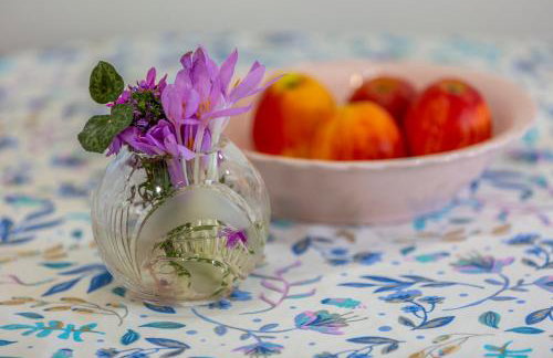 Apartments Dalida - Foto 10