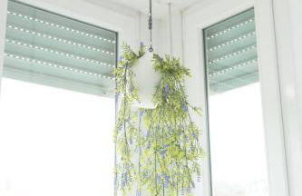 Ikigai Las Canteras - Foto 31