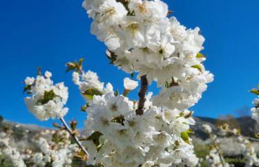 ALBAREÍLLA by #cherrygredos - Photo 19