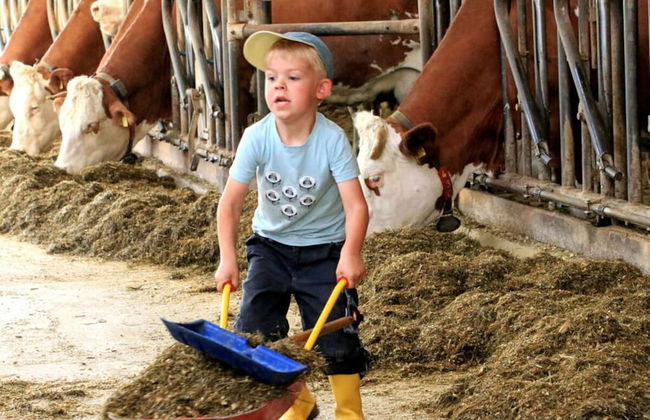 Attractive Apartment in Bavaria - Foto 12