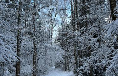 APARTAMENT CENTRUM - Foto 69