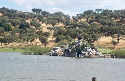 MONTE DO SALTO DA RAPOSA - Foto 31