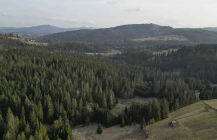 Olberówka - Foto 16