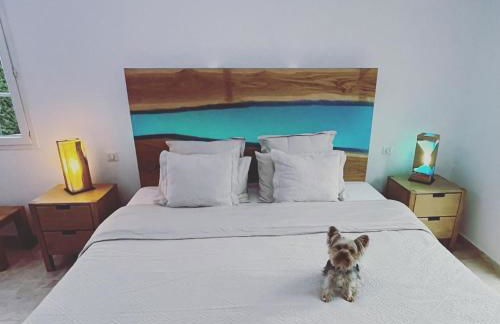 Villa Sienna 5 étoiles Cotignac Provence - Foto 14