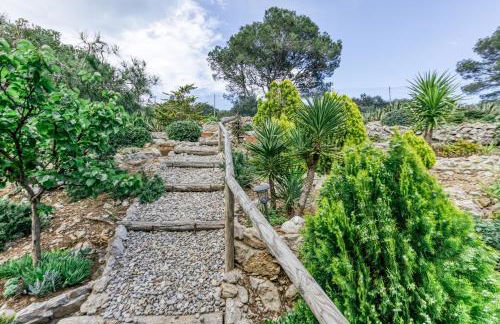 Punta Montgó - Foto 40