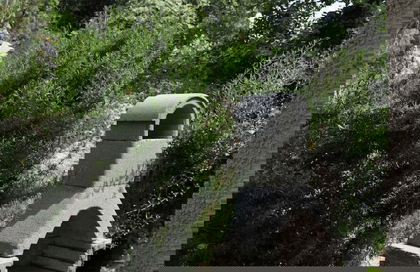 Apartment Danijela Mljet - Studio Apartment With Balcony and Sea View - Foto 6