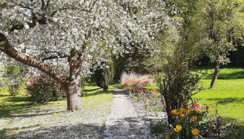 Die Malche Gäste und Tagungshaus 26 - Foto 2